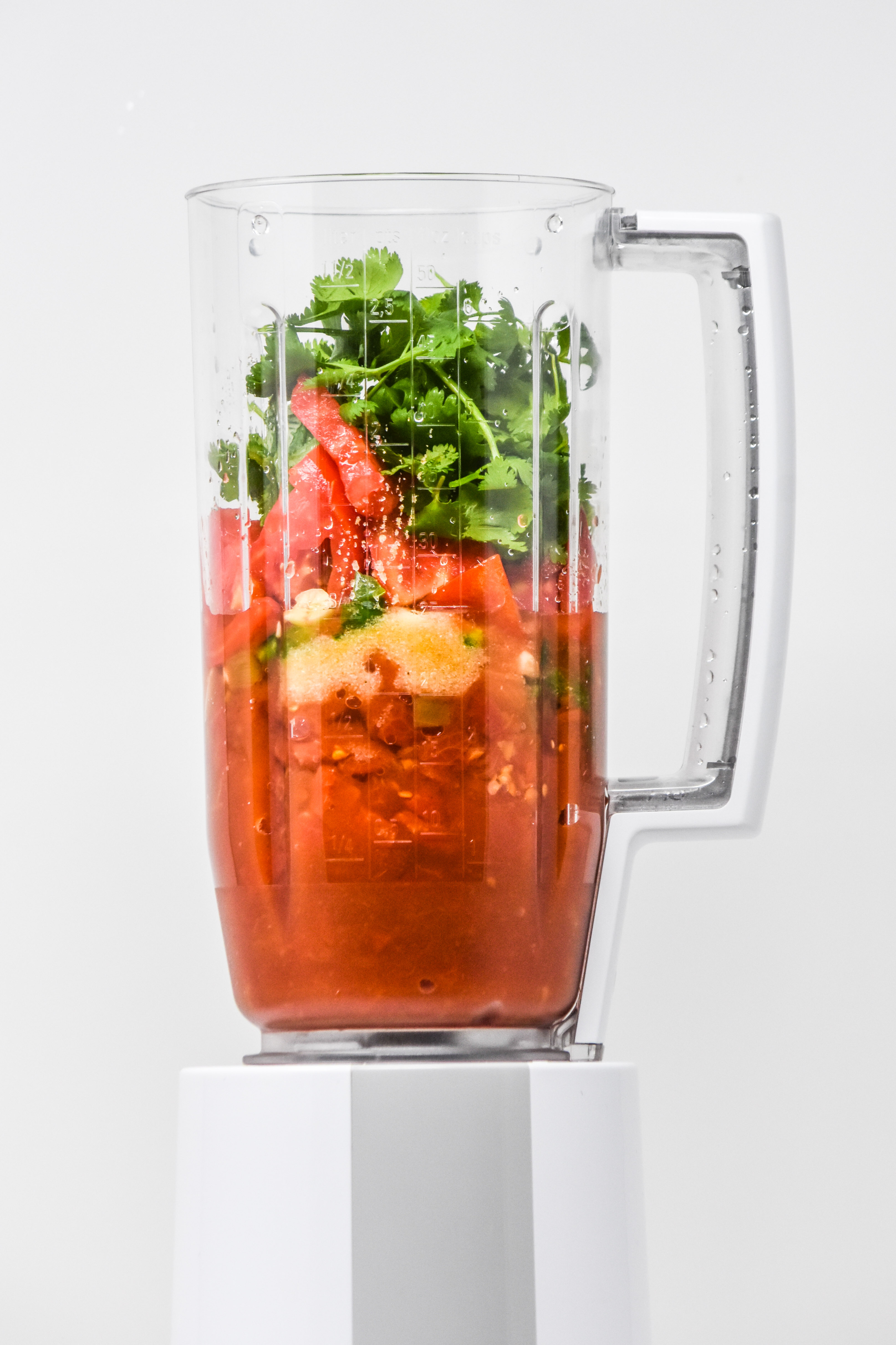 bosch blender salsa