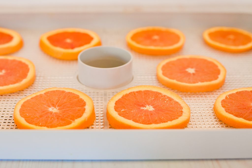 Slices of orange arranged on a dehydrator tray.